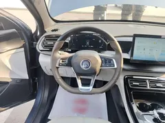 2024 BYD Qin PLUS Honor DM-i PHEV 55km Leading, синий — фото 11