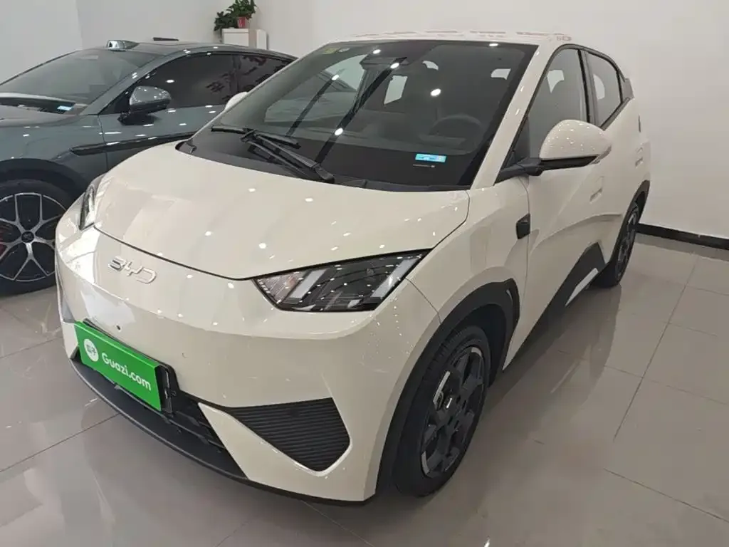 2025 BYD Seagull Smart Driving 305km Freedom