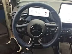2025 BYD Seagull Smart Driving 305km Freedom, белый — фото 11