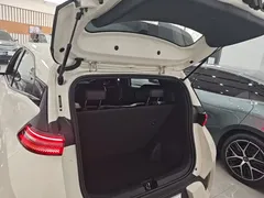 2025 BYD Seagull Smart Driving 305km Freedom, белый — фото 19