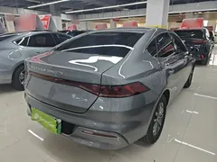 2023 BYD Qin PLUS Champion DM-i PHEV 55KM Leading — фото 7
