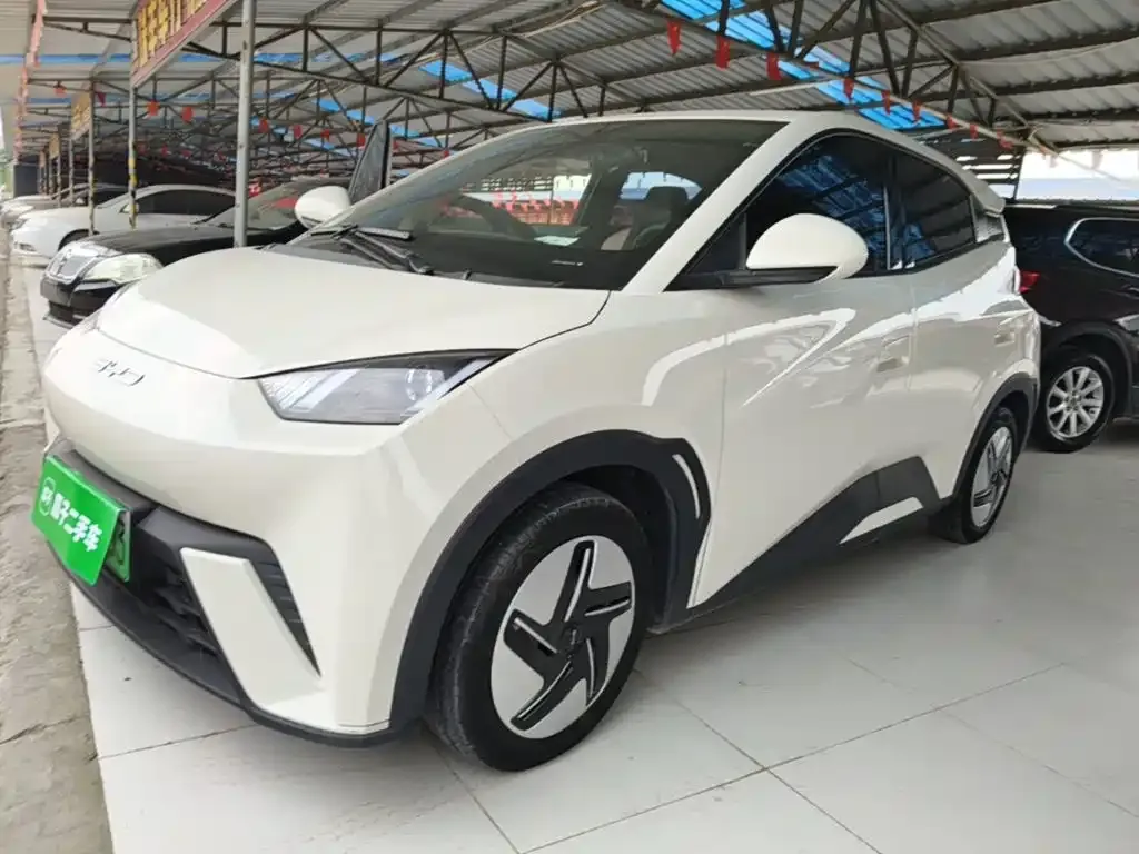 2024 BYD Seagull Honor 305km Vitality