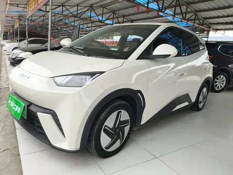 2024 BYD Seagull Honor 305km Vitality