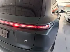 2024 Li Auto L9 Pro, зелёный — фото 8