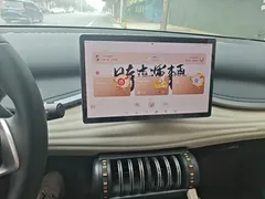 2024 BYD Yuan PLUS Honor 430km Exceed, белый — фото 13