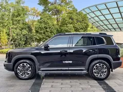 2021 Haval Dargo 2.0T DCT 4WD, чёрный — фото 22