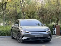 2023 BYD Han EV 506KM 2WD Premium Champion — фото 21