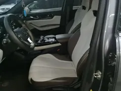2024 BYD Qin PLUS Honor DM-i PHEV 55km Leading — фото 15