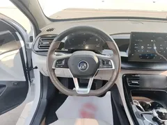 2023 BYD Qin PLUS Champion DM-i PHEV 55KM Leading, белый — фото 11