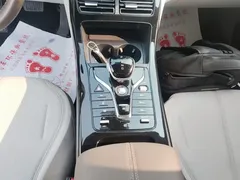 2023 BYD Qin PLUS Champion DM-i PHEV 55KM Leading, белый — фото 14