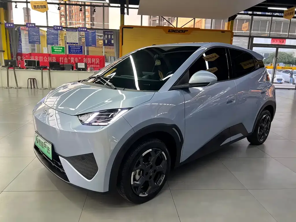 2025 BYD Seagull Smart Driving 405km Freedom