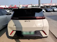 2025 BYD Seagull 305km Vitality, белый — фото 6