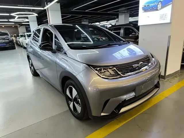 2023 BYD Dolphin 420km Fashion