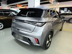 2023 BYD Dolphin 420km Fashion — фото 7