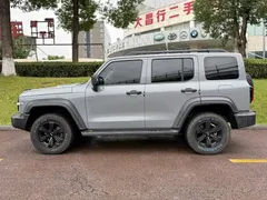 2021 Tank 300 Off-road 2.0T Conqueror — фото 3