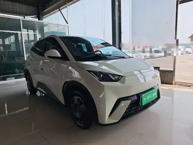 2025 BYD Seagull 305km Vitality