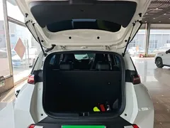 2025 BYD Seagull 305km Vitality, белый — фото 19