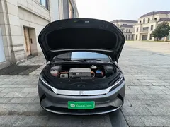 2021 BYD Han EV Standard Range Luxury — фото 20