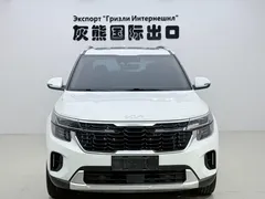 2023 Kia Seltos 1.5L CVT Luxury, белый — фото 2