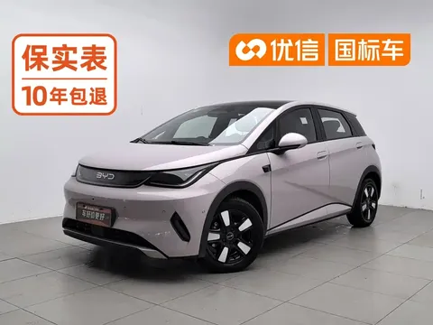 2025 BYD Dolphin Smart Driving 410km Fashion