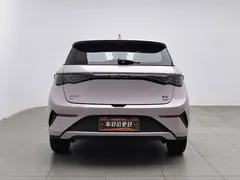 2025 BYD Dolphin Smart Driving 410km Fashion — фото 4