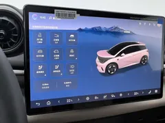 2025 BYD Dolphin Smart Driving 410km Fashion — фото 21