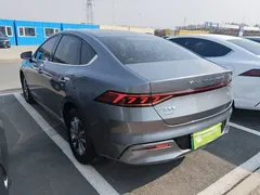 2023 BYD Qin PLUS Champion DM-i PHEV 55KM Leading — фото 5