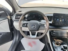 2023 BYD Qin PLUS Champion DM-i PHEV 55KM Leading — фото 11