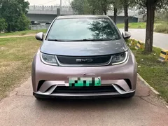 2023 BYD Dolphin 401km Knight — фото 2