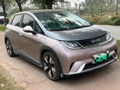 2023 BYD Dolphin 401km Knight — фото 3