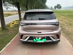 2023 BYD Dolphin 401km Knight — фото 7