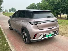2023 BYD Dolphin 401km Knight — фото 8