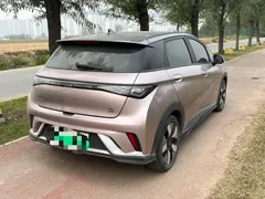 2023 BYD Dolphin 401km Knight — фото 9