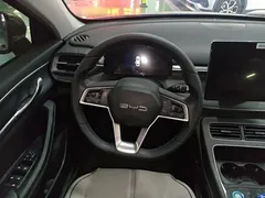 2024 BYD Destroyer 05 DM-i PHEV 120KM Luxury — фото 11