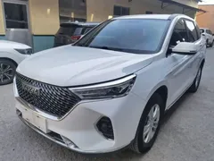 2021 Haval M6 Plus 1.5T DCT Elite, белый — фото 2