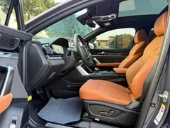 2023 BYD Tang DM-i PHEV Champion 112KM Premium — фото 5