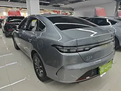 2024 BYD Destroyer 05 DM-i PHEV 55km Luxury — фото 5