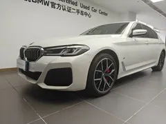 2021 BMW 5 Series 530Li Premium M Sport Package, белый — фото 15