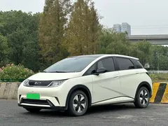 2025 BYD Dolphin 420km Fashion, белый — фото 1