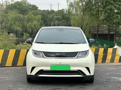 2025 BYD Dolphin 420km Fashion, белый — фото 2