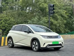2025 BYD Dolphin 420km Fashion, белый — фото 3