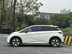 2025 BYD Dolphin 420km Fashion, белый — фото 4