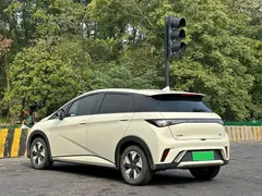 2025 BYD Dolphin 420km Fashion, белый — фото 5