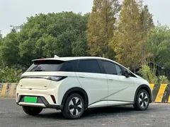 2025 BYD Dolphin 420km Fashion, белый — фото 7