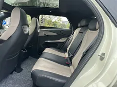 2025 BYD Dolphin 420km Fashion, белый — фото 10