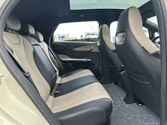 2025 BYD Dolphin 420km Fashion, белый — фото 13