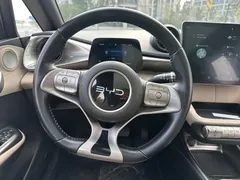 2025 BYD Dolphin 420km Fashion, белый — фото 17