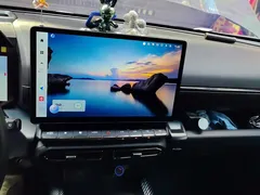 2023 Haval Dargo PLUS 2.0T 4WD, чёрный — фото 13