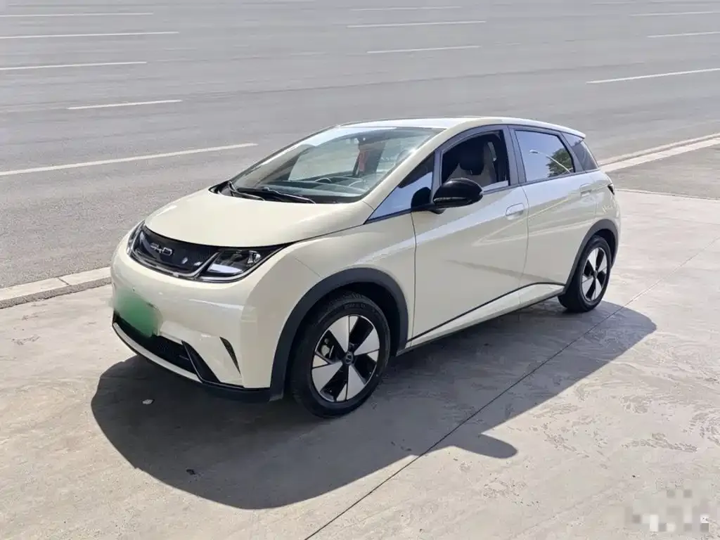 2023 BYD Dolphin 420km Freedom