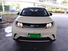 2023 BYD Dolphin 420km Freedom — фото 3